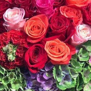 Meet your Posher, Dalida